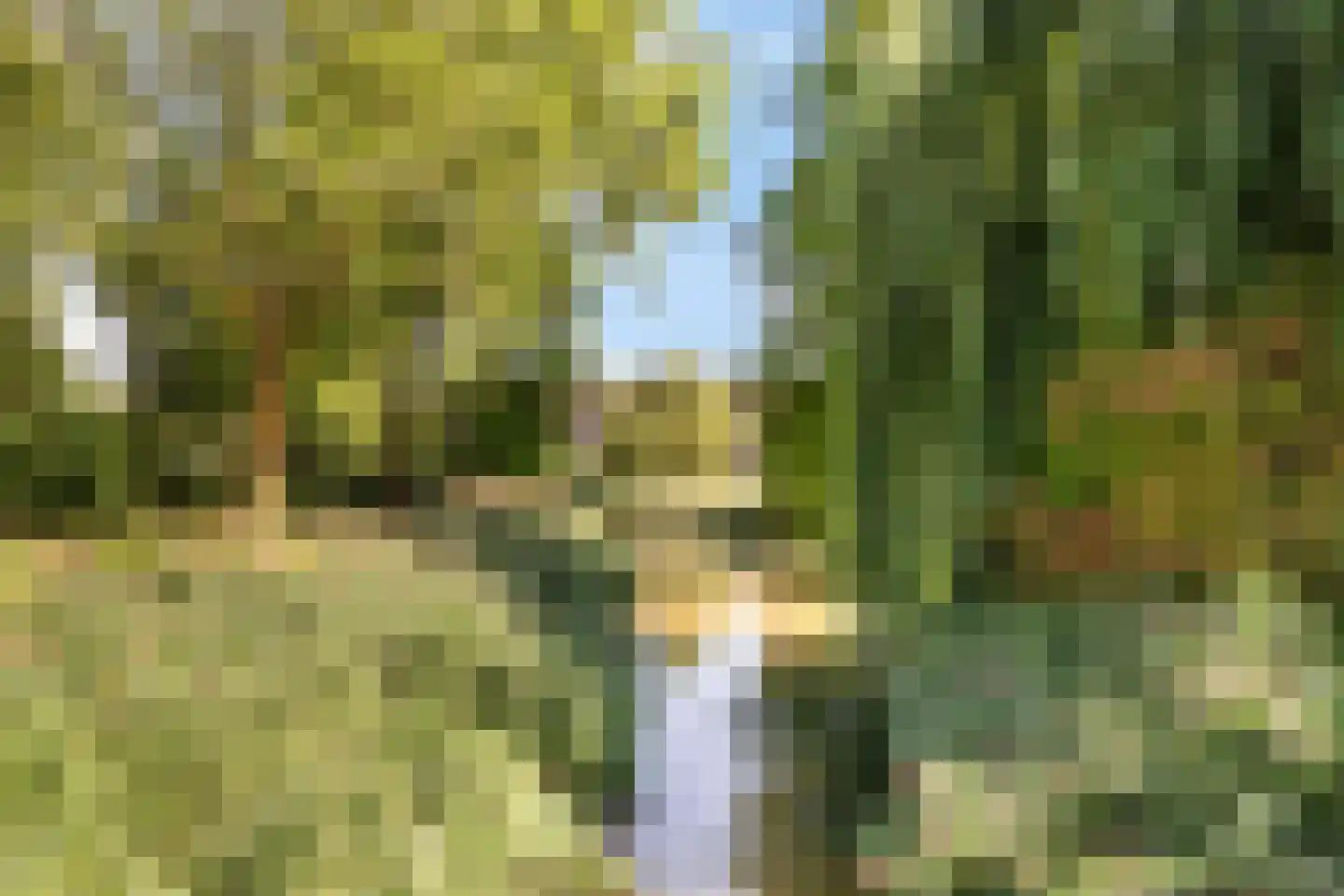 Oosterbeemd 51 Oosterhout thumbnail 31