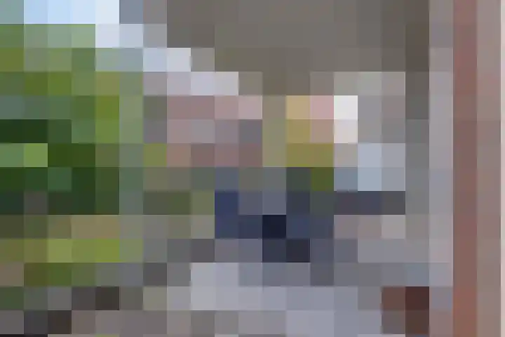 Oosterbleek 50 b Lochem thumbnail 13