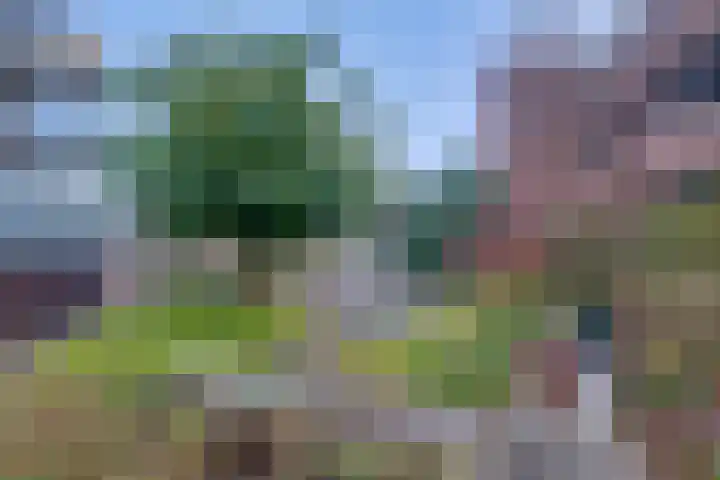 Oosterbleek 50 b Lochem thumbnail 19