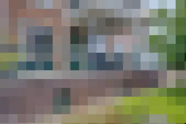 Oosterbleek 50 b Lochem thumbnail 20