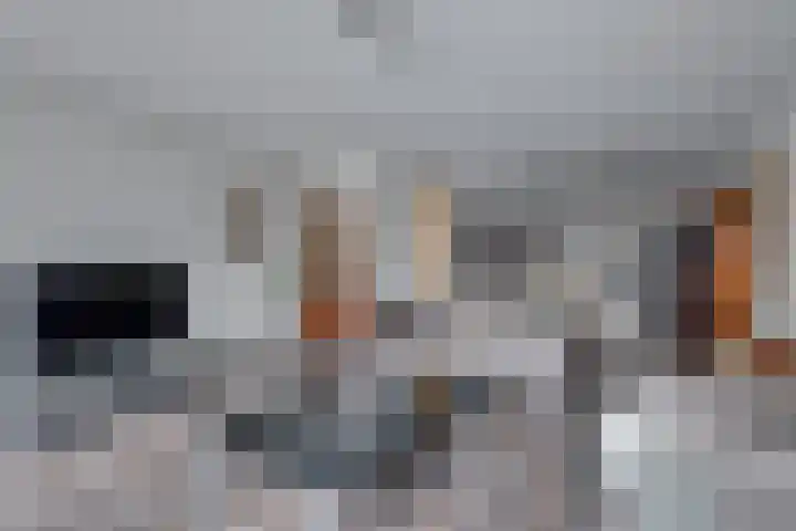 Oosterbleek 50 b Lochem thumbnail 6
