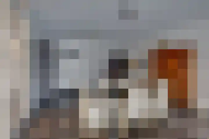 Oosterbleek 50 b Lochem thumbnail 7