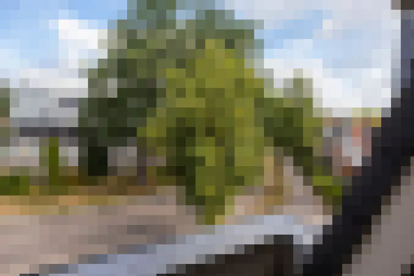 Oosterbleek 50 e Lochem thumbnail 30