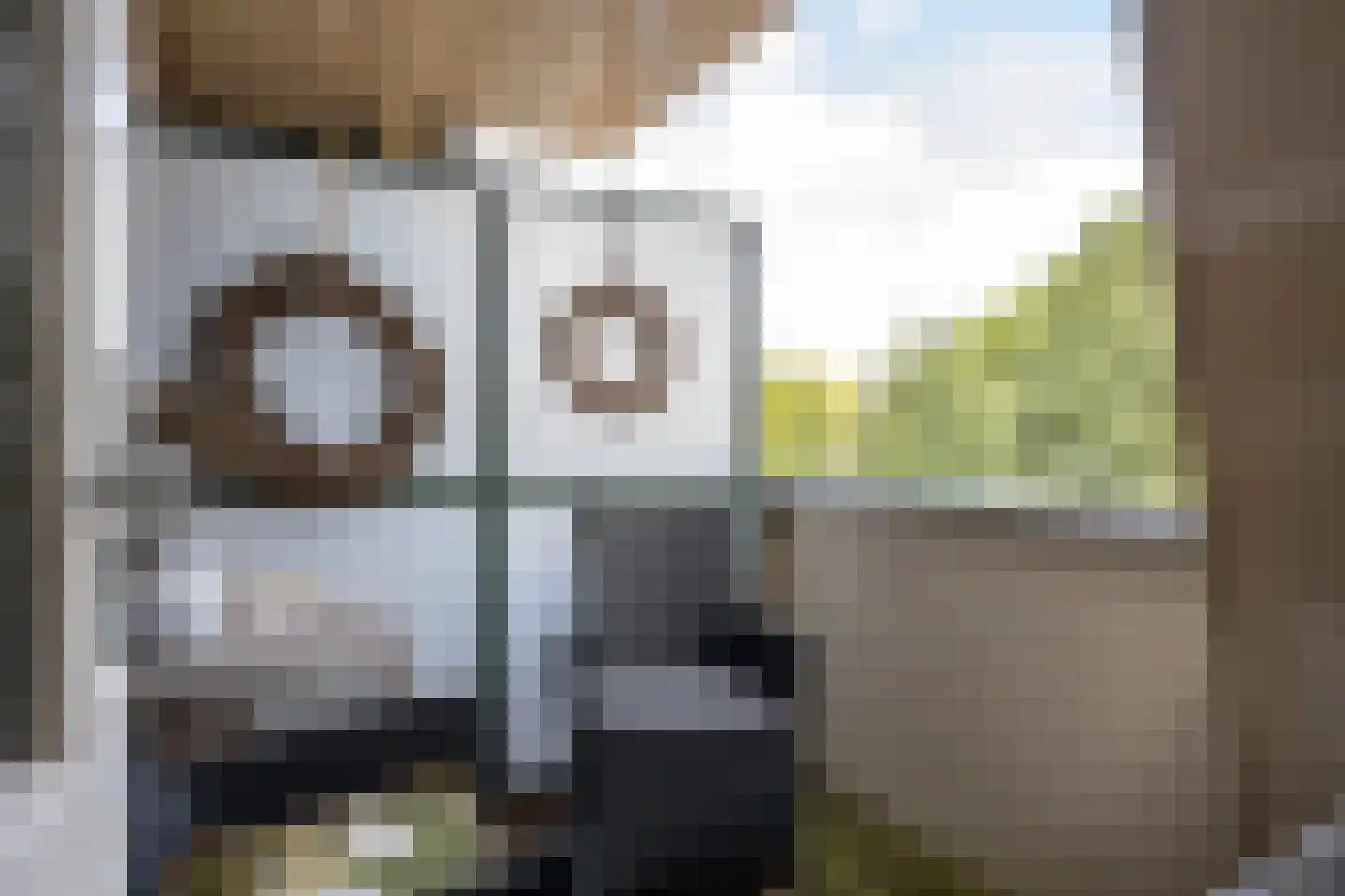 Oosterbleek 50 e Lochem thumbnail 31
