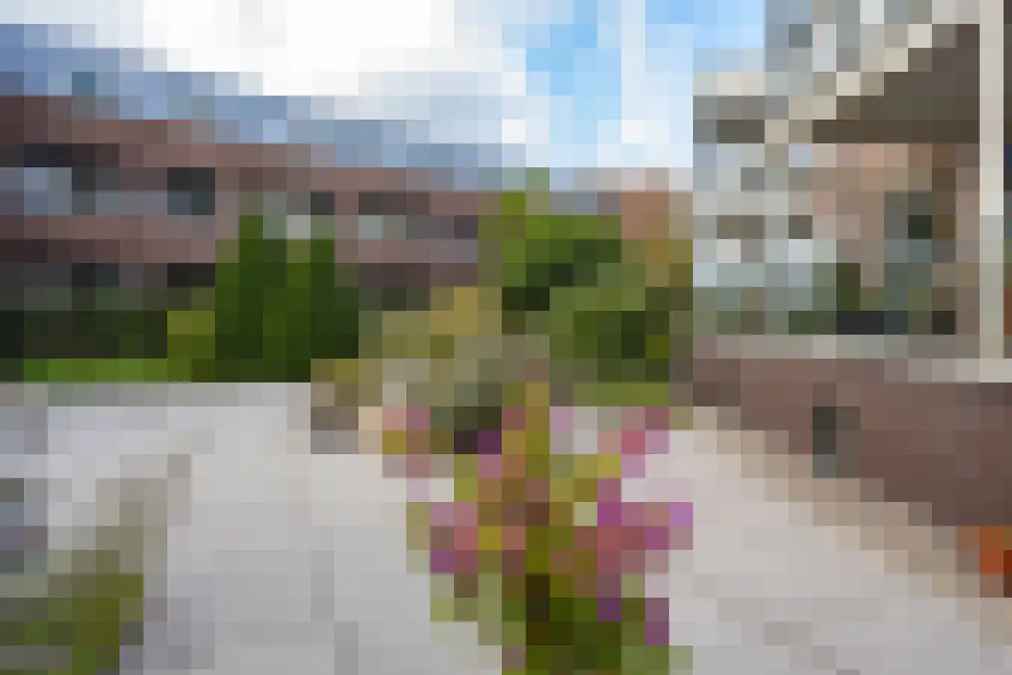 Oosterbleek 50 e Lochem thumbnail 33