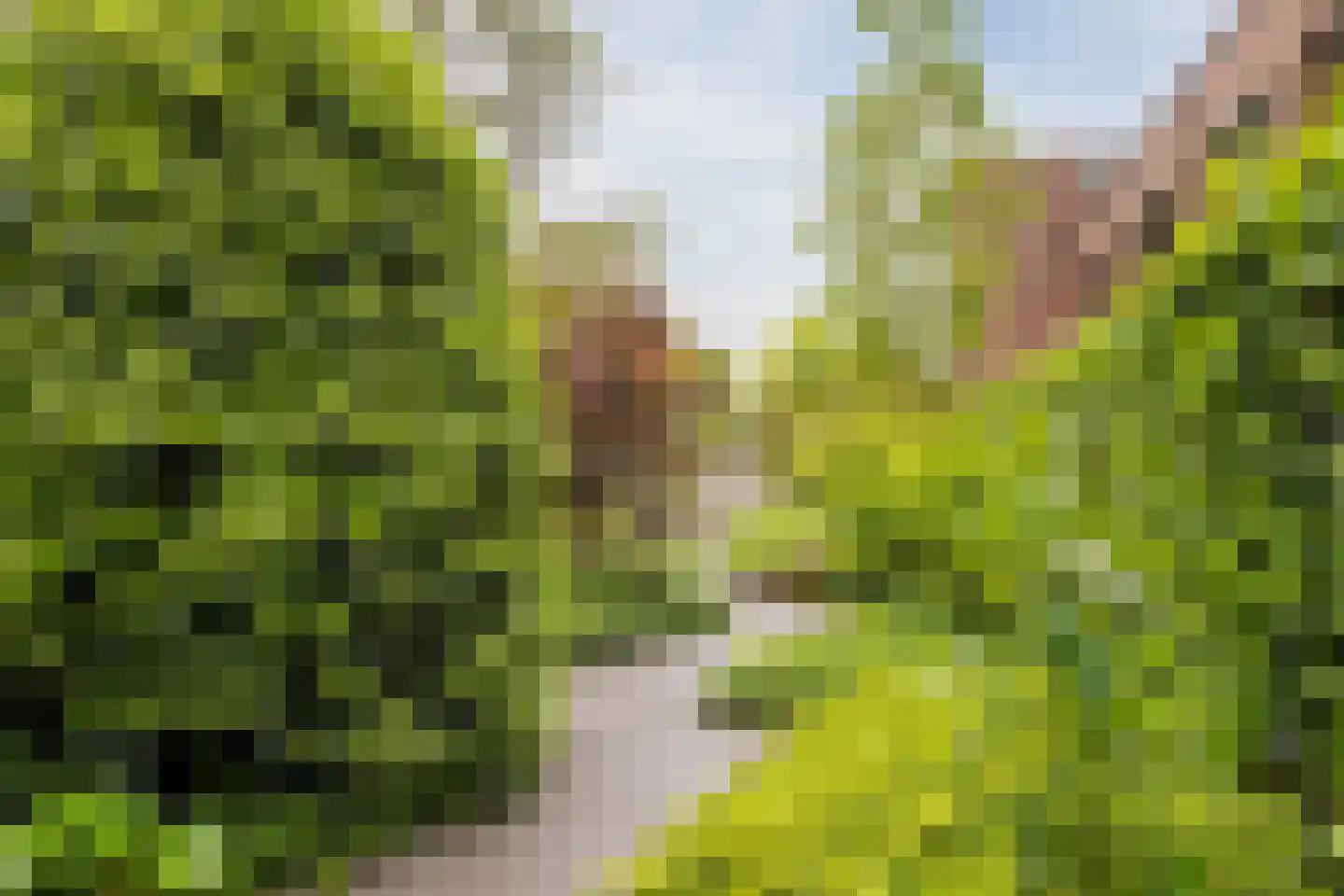 Oosterbleek 51 e Lochem thumbnail 16