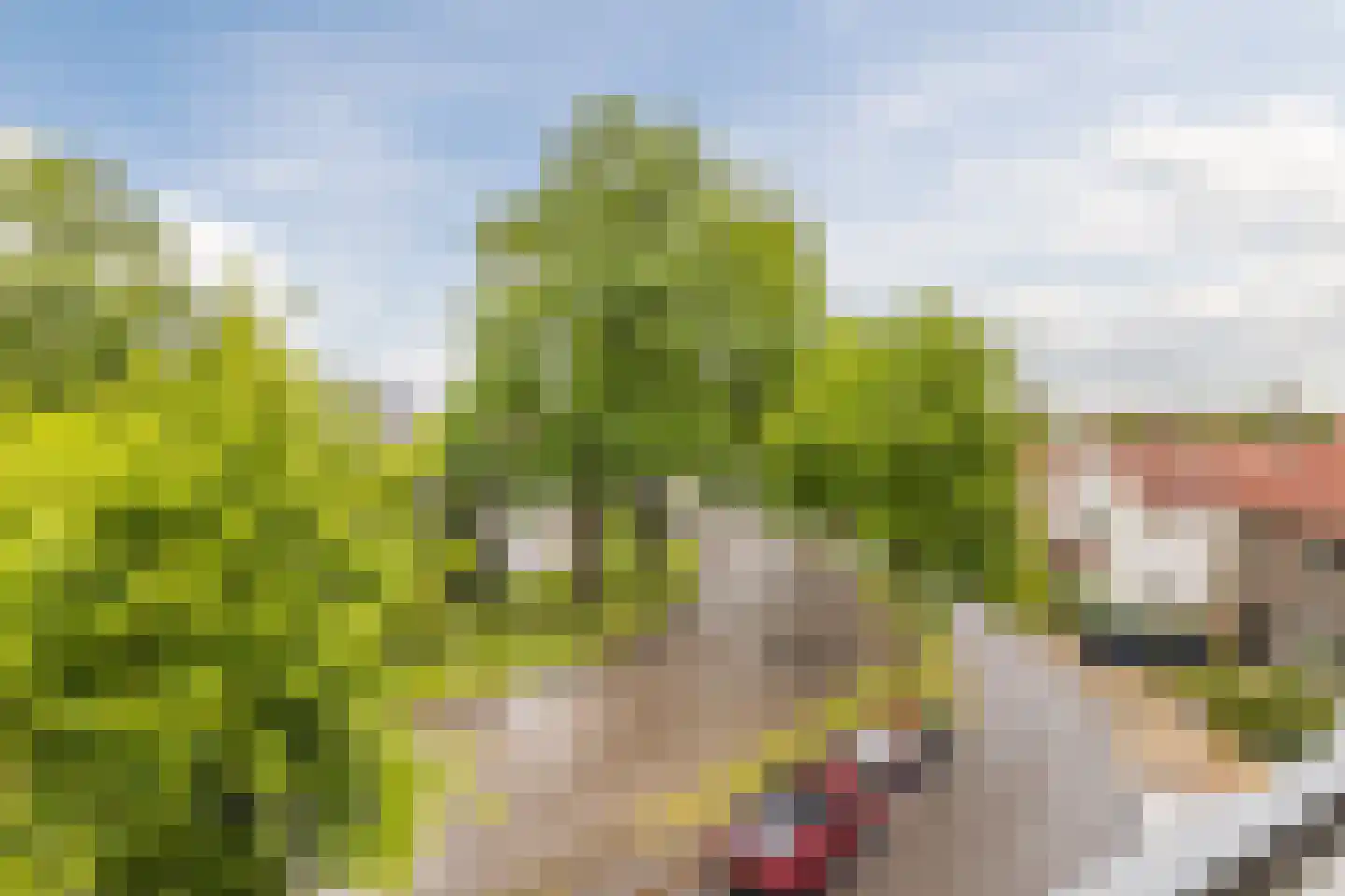 Oosterbleek 51 e Lochem thumbnail 17