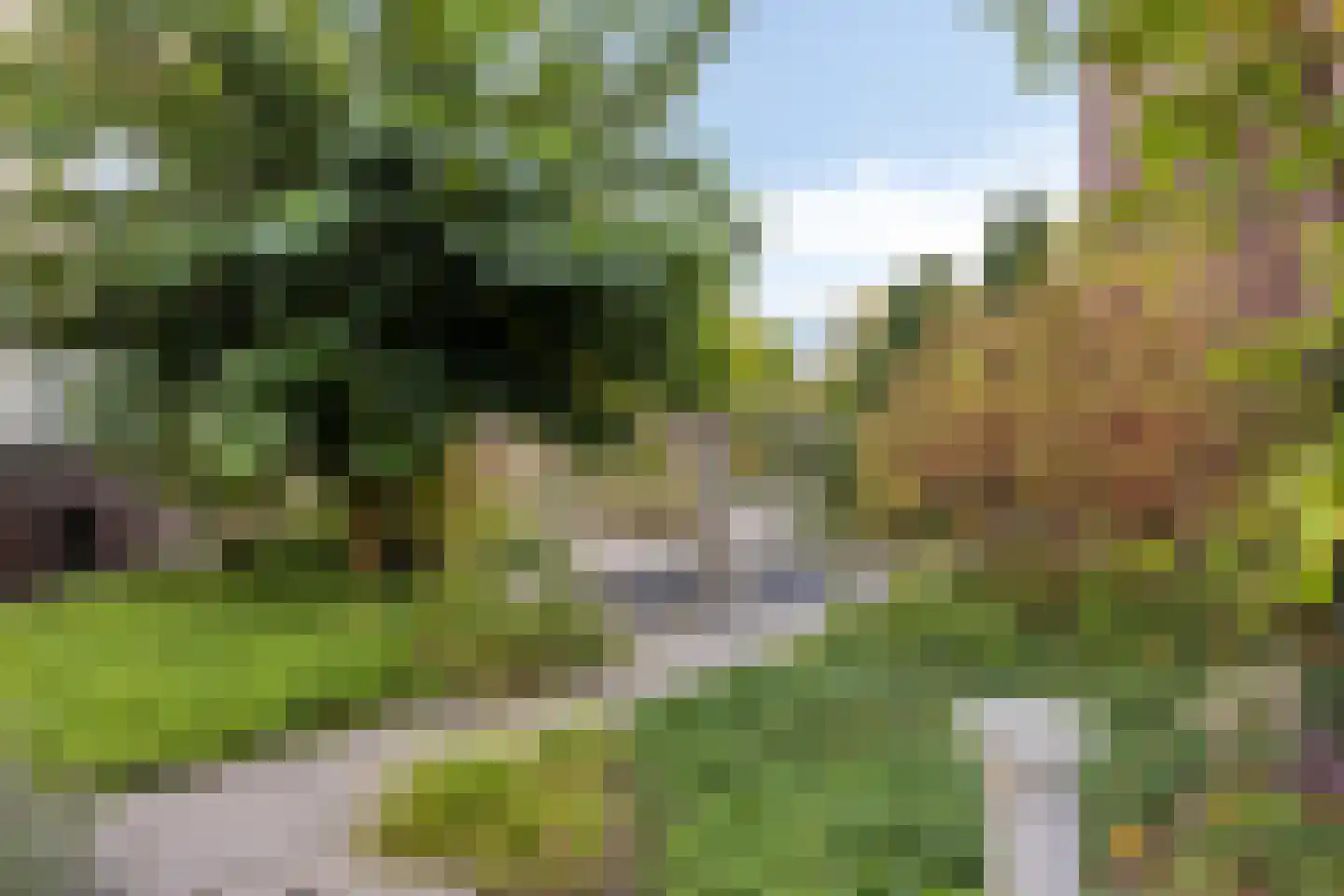 Oosterbleek 51 e Lochem thumbnail 24