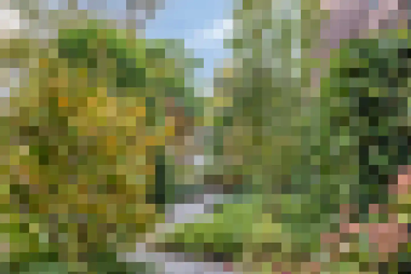Oosterbleek 51 e Lochem thumbnail 25
