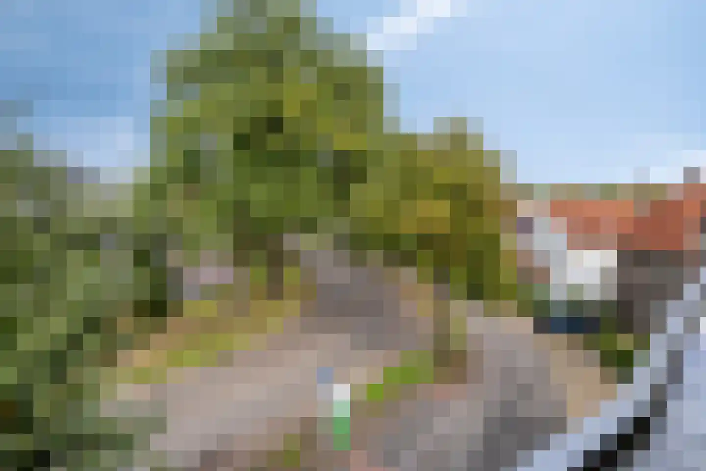 Oosterbleek 51 e Lochem thumbnail 26