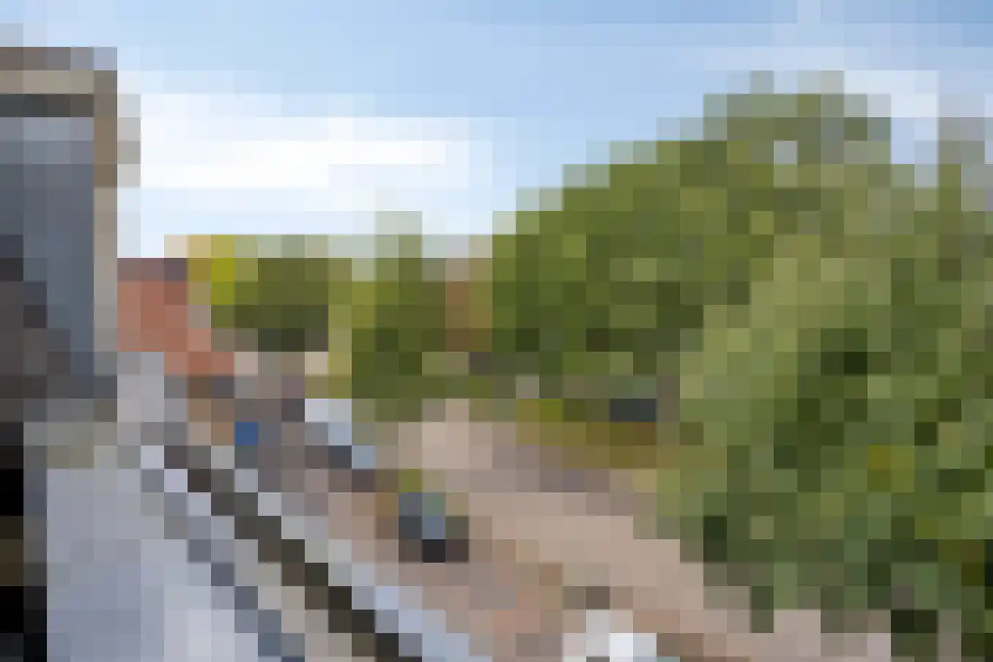 Oosterbleek 51 e Lochem thumbnail 27