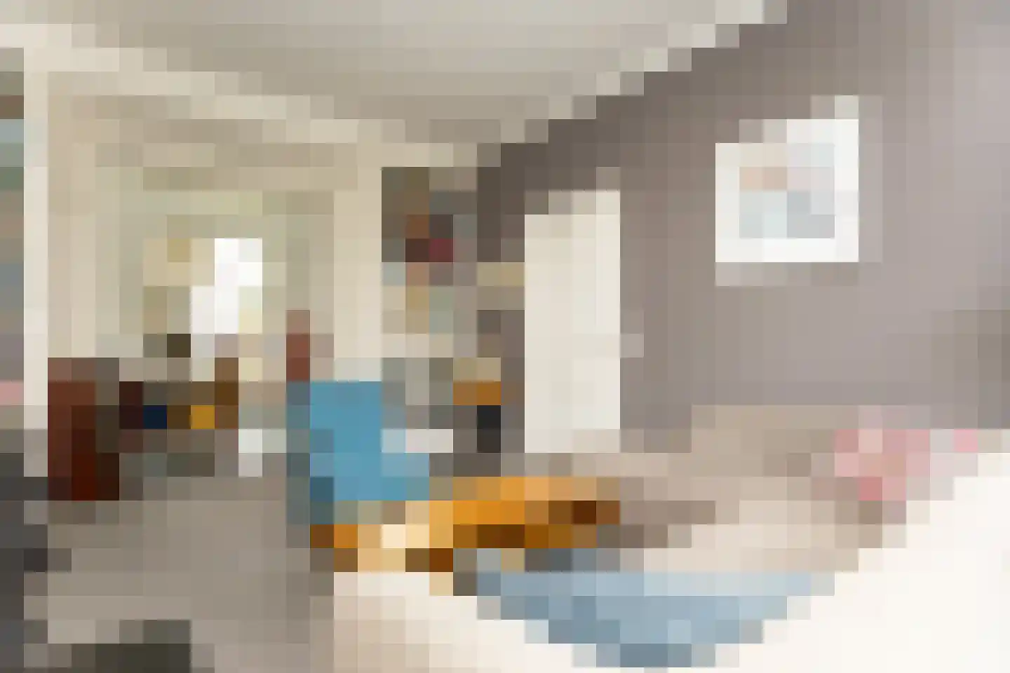 Oosterblokker 100 Oosterblokker thumbnail 19