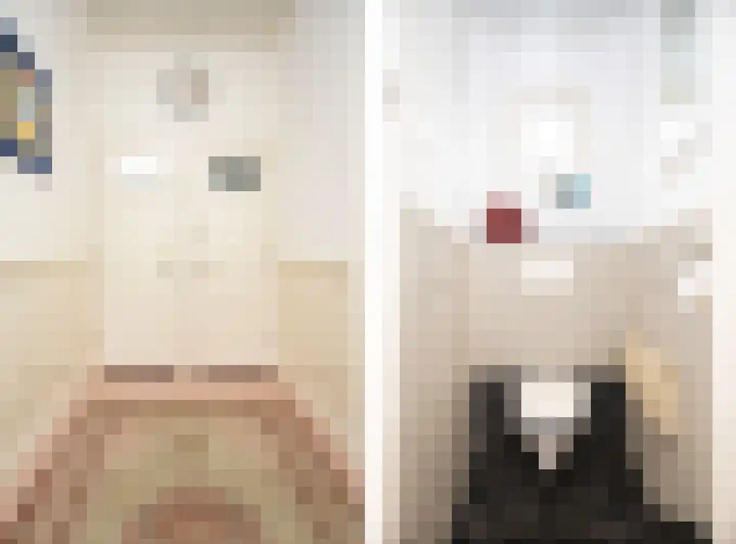 Oosterblokker 100 Oosterblokker thumbnail 22