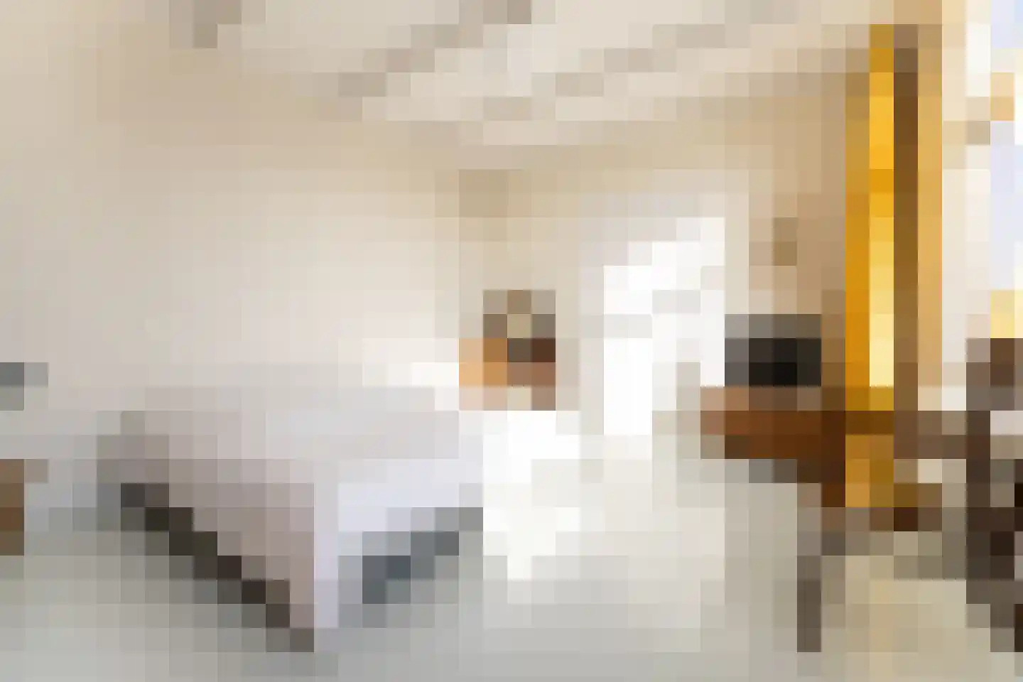 Oosterblokker 100 Oosterblokker thumbnail 40