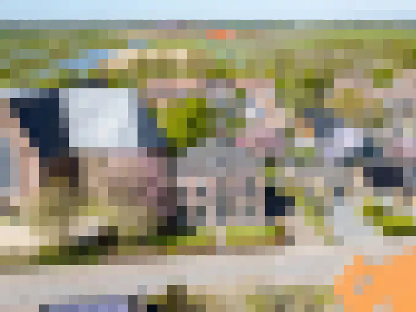 Oosterblokker 100 Oosterblokker thumbnail 61