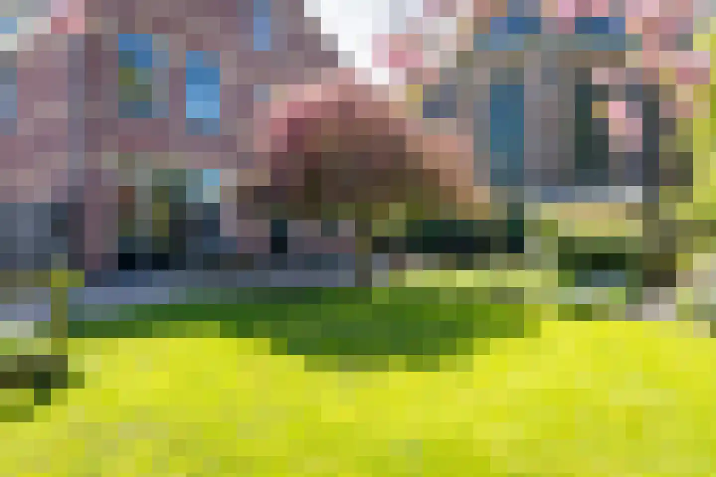 Oosterblokker 100 Oosterblokker thumbnail 62
