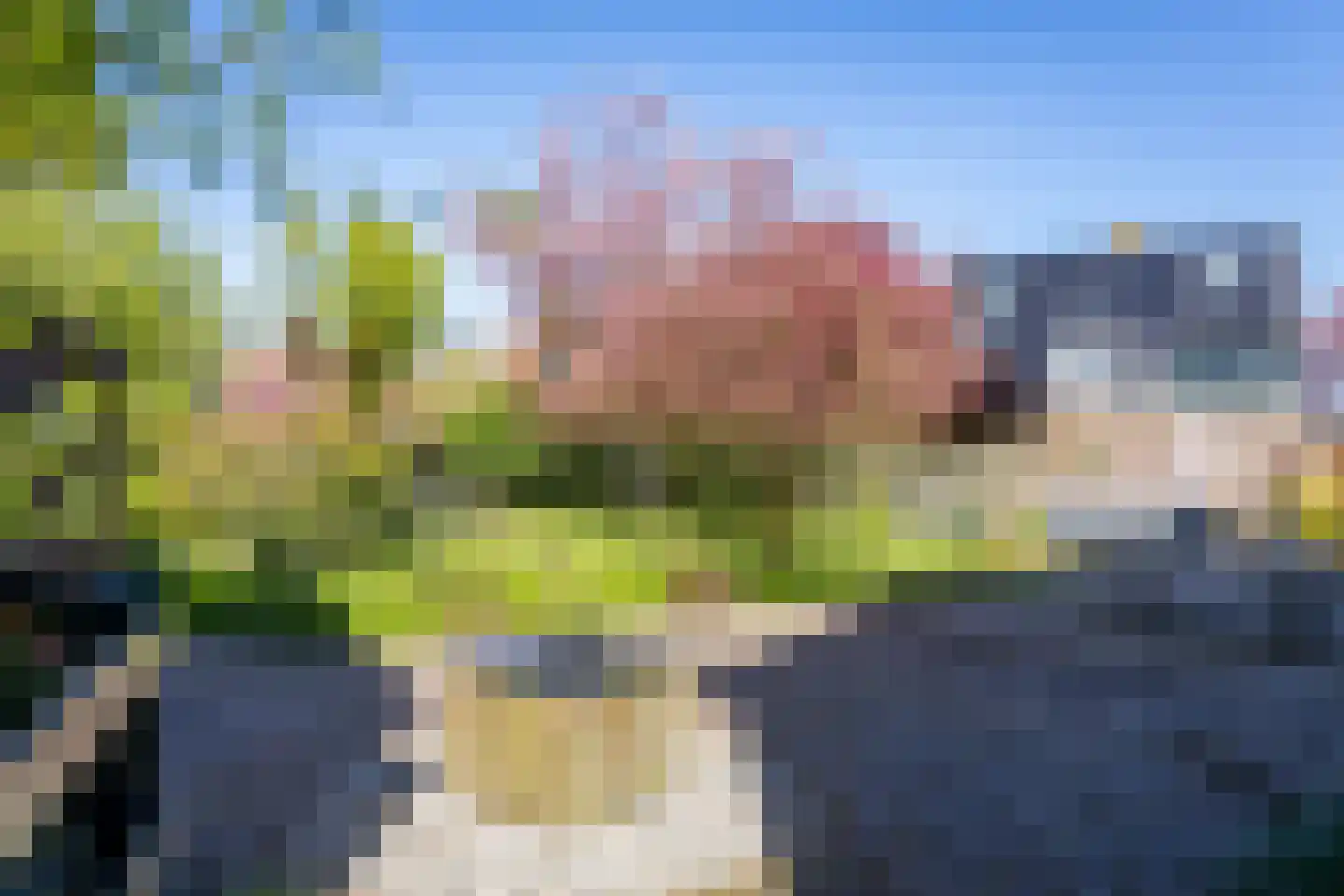Oosterblokker 100 Oosterblokker thumbnail 64