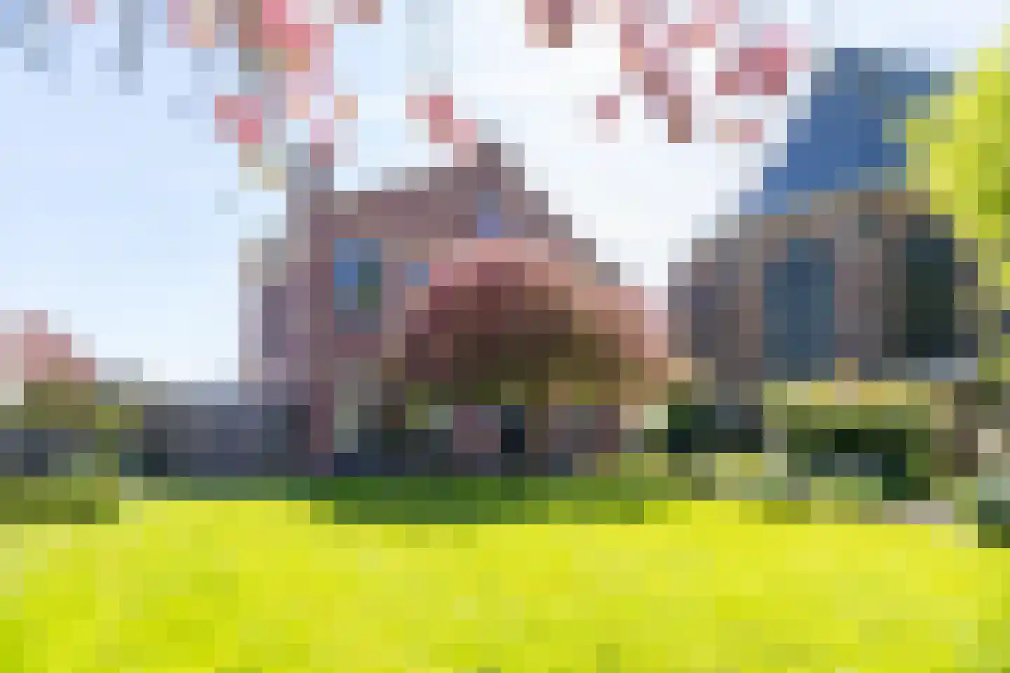 Oosterblokker 100 Oosterblokker thumbnail 65