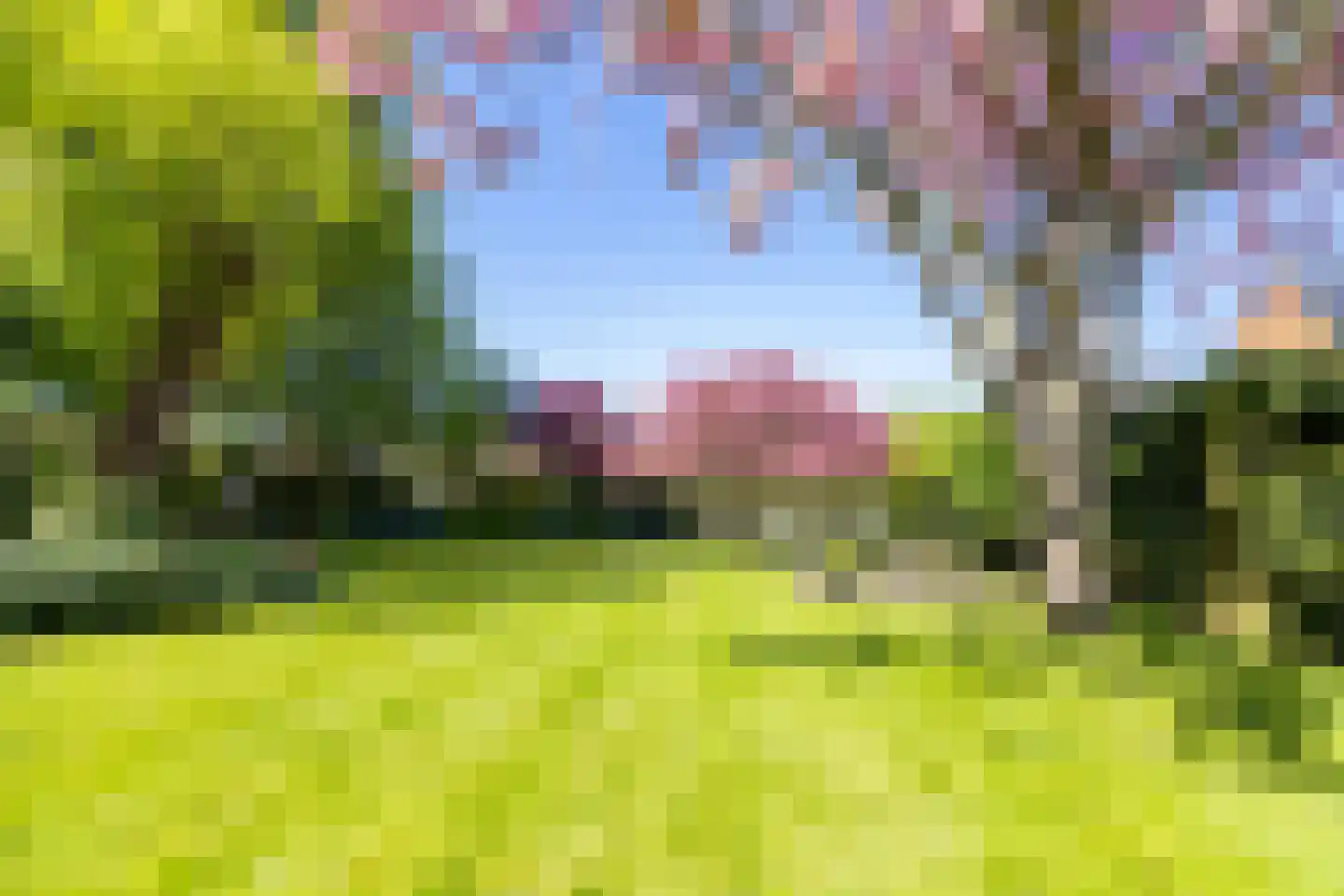 Oosterblokker 100 Oosterblokker thumbnail 66