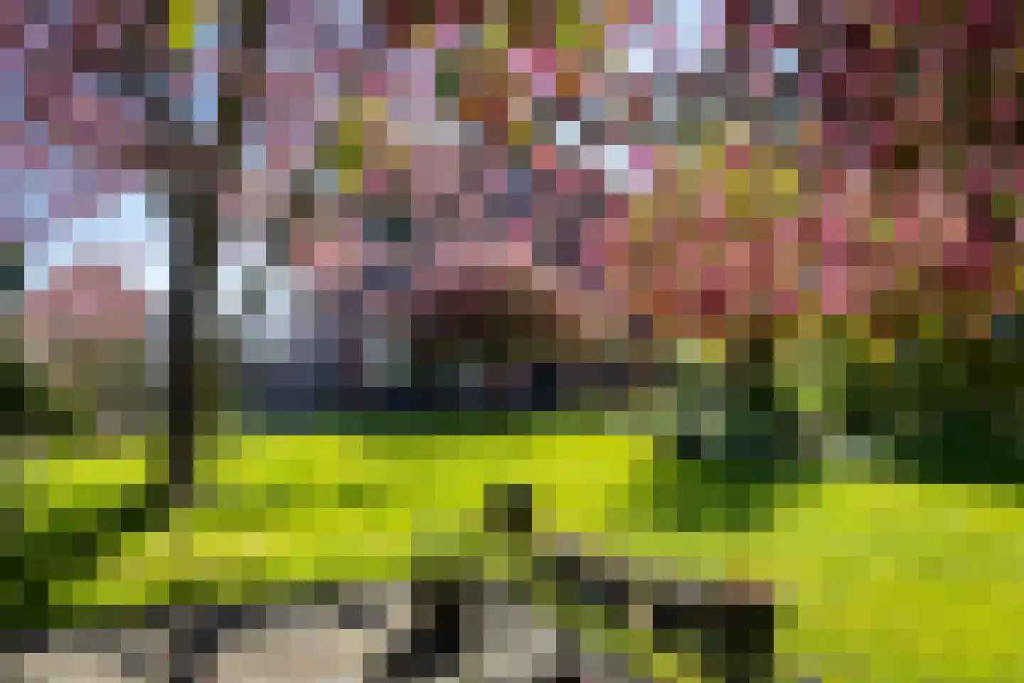Oosterblokker 100 Oosterblokker thumbnail 67