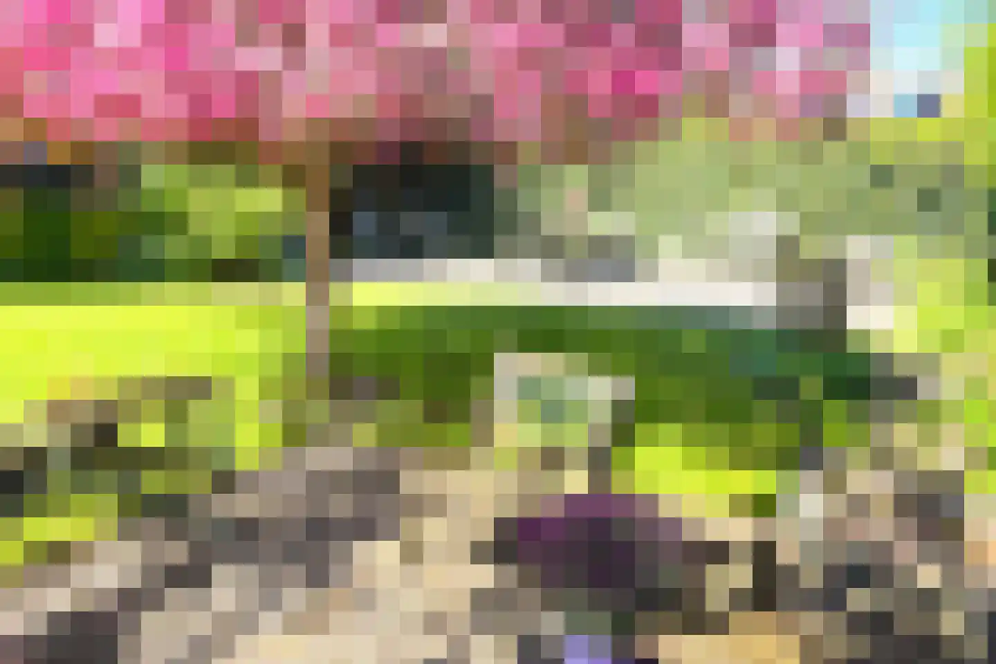 Oosterblokker 100 Oosterblokker thumbnail 68