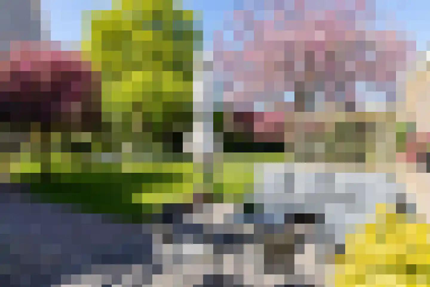Oosterblokker 100 Oosterblokker thumbnail 68