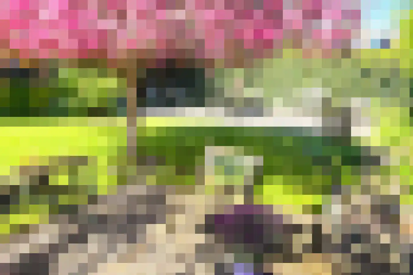 Oosterblokker 100 Oosterblokker thumbnail 70