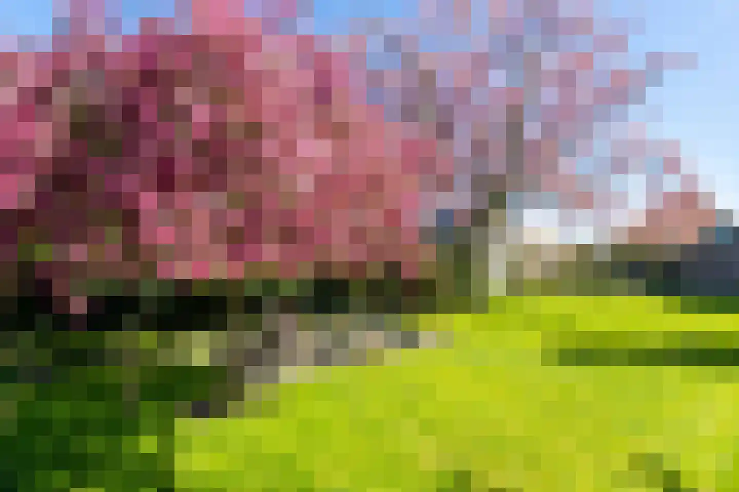 Oosterblokker 100 Oosterblokker thumbnail 71