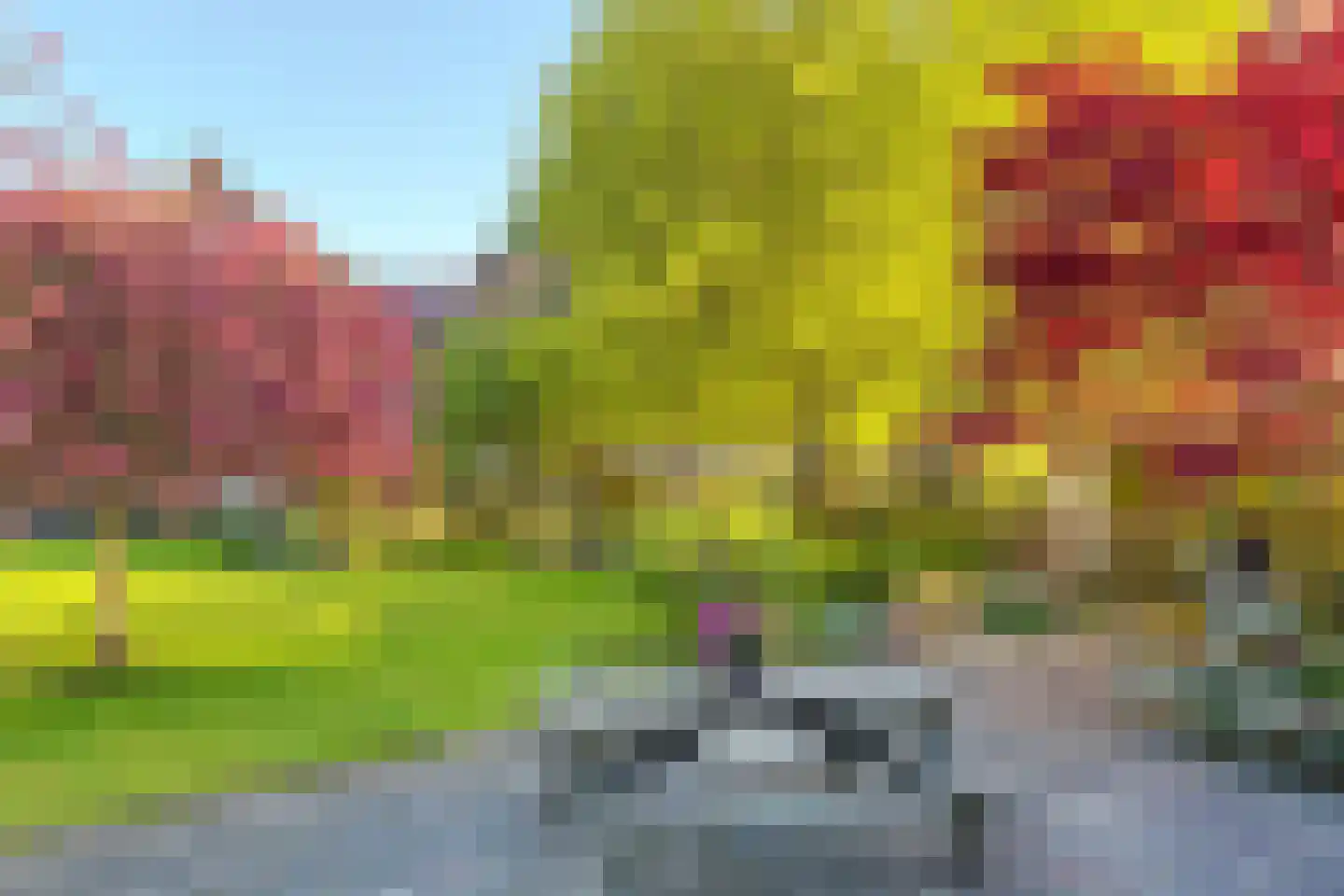 Oosterblokker 100 Oosterblokker thumbnail 73