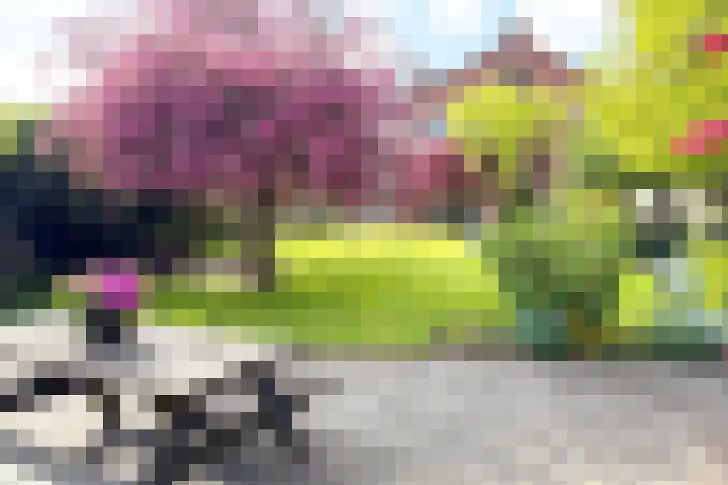 Oosterblokker 100 Oosterblokker thumbnail 74