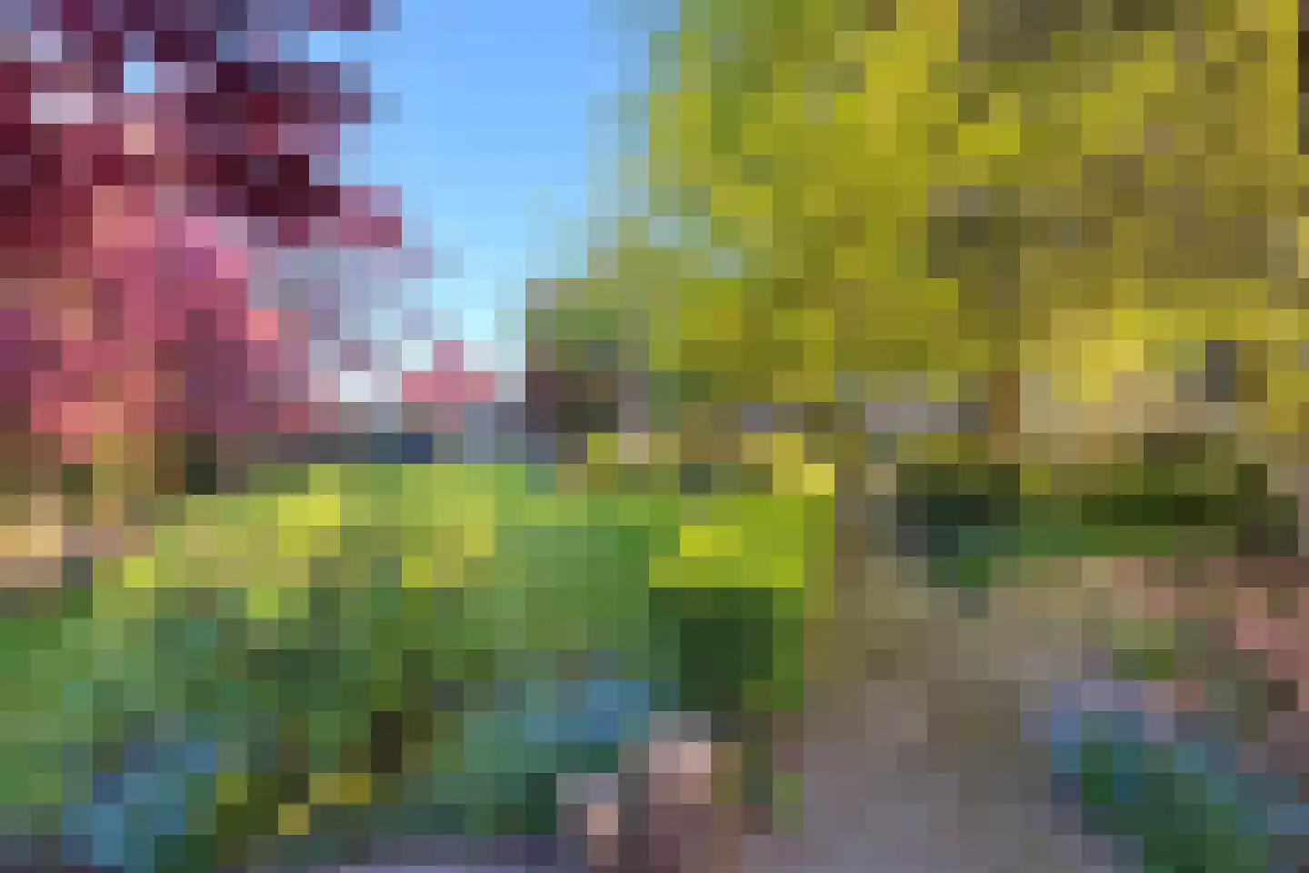 Oosterblokker 100 Oosterblokker thumbnail 75