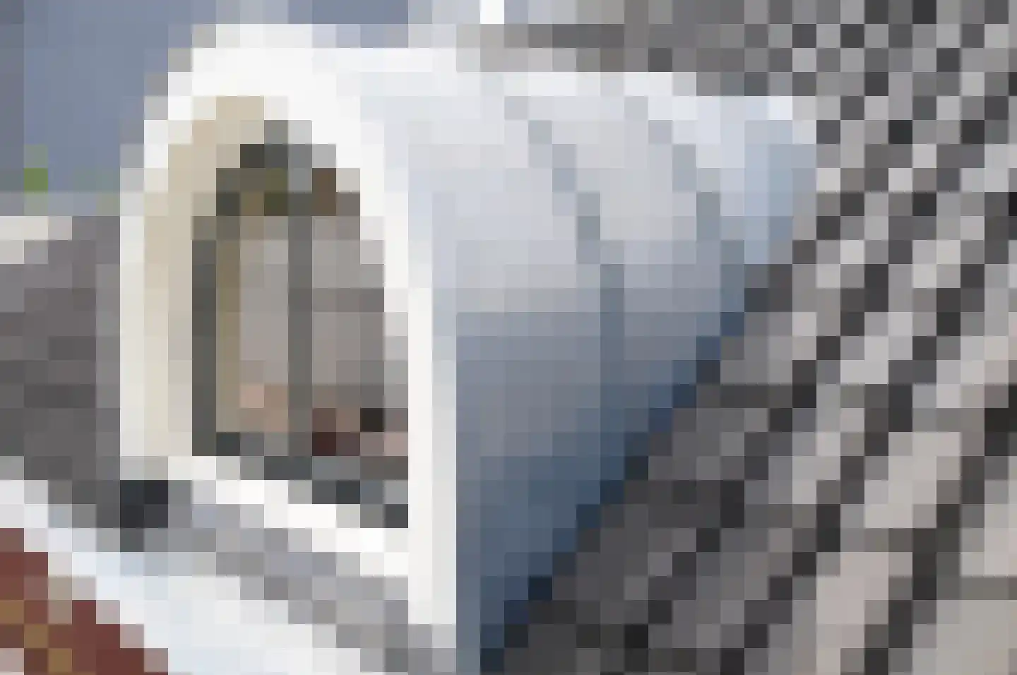Oosterblokker 100 Oosterblokker thumbnail 76