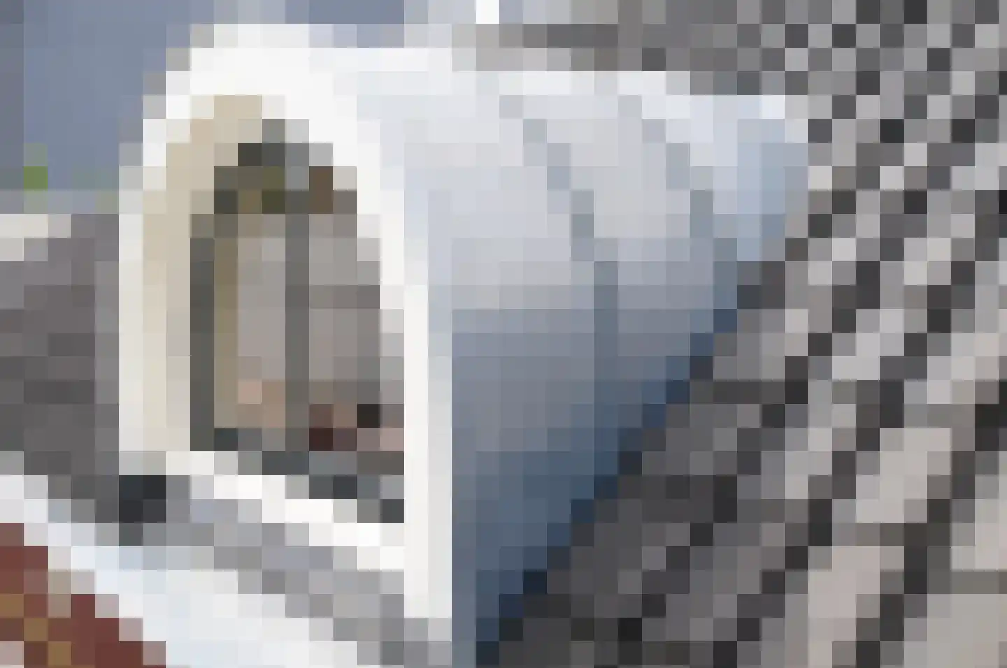 Oosterblokker 100 Oosterblokker thumbnail 78