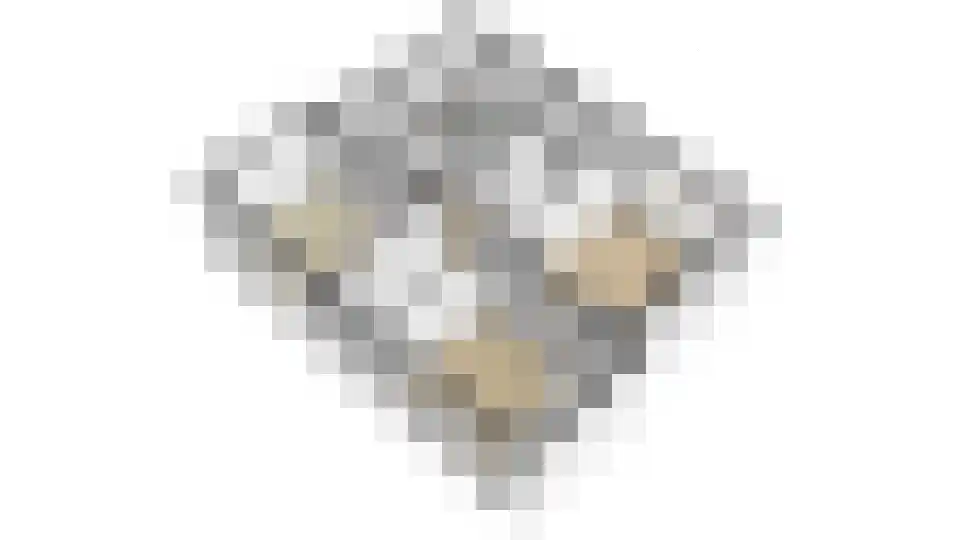 Oosterblokker 100 Oosterblokker thumbnail 79