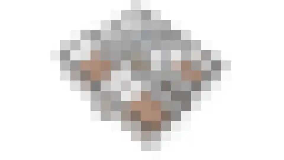 Oosterblokker 100 Oosterblokker thumbnail 80