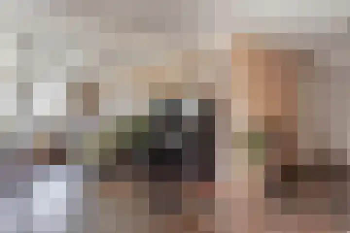 Oosterblokker 131 Oosterblokker thumbnail 10