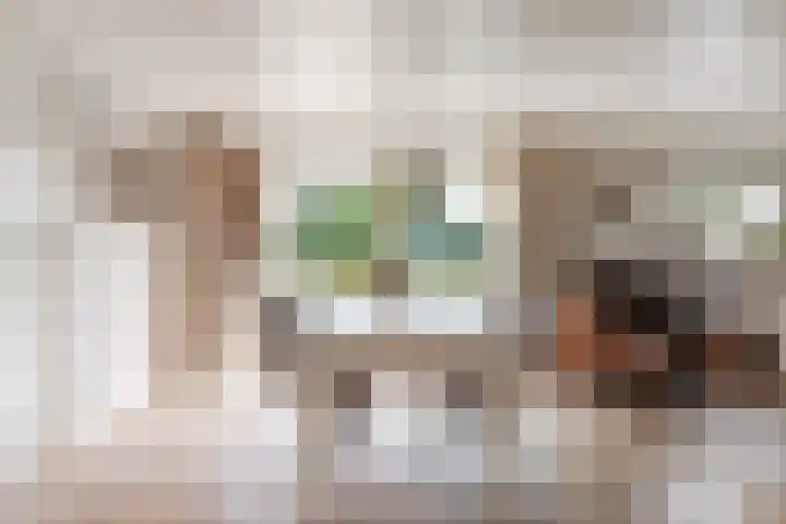 Oosterblokker 131 Oosterblokker thumbnail 12