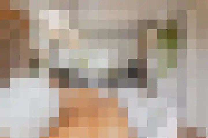 Oosterblokker 131 Oosterblokker thumbnail 17