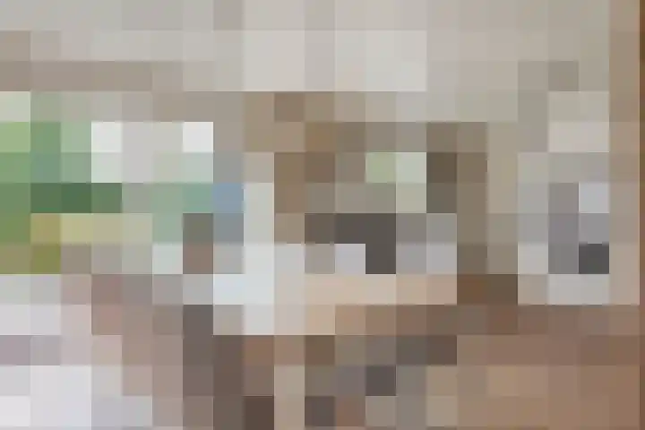 Oosterblokker 131 Oosterblokker thumbnail 18