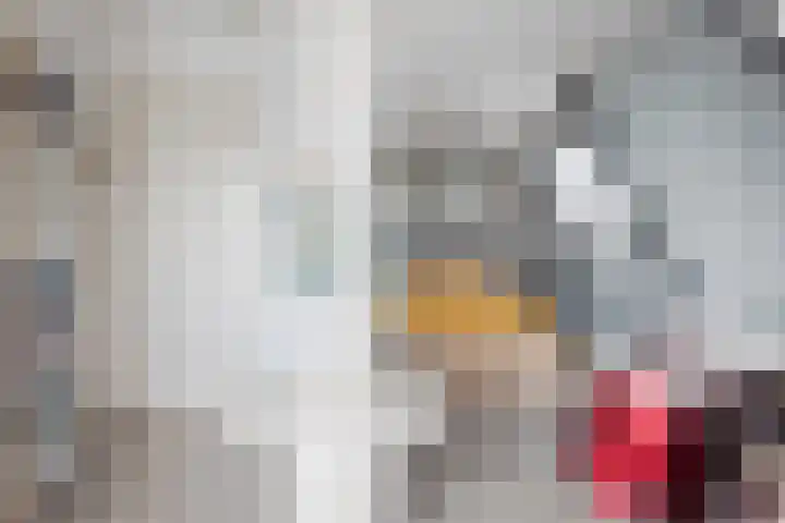 Oosterblokker 131 Oosterblokker thumbnail 35