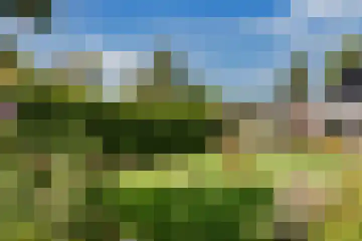 Oosterblokker 131 Oosterblokker thumbnail 43
