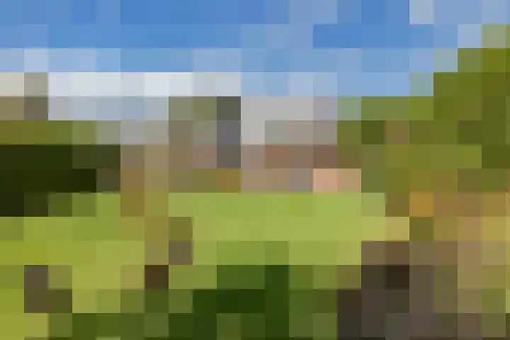 Oosterblokker 131 Oosterblokker thumbnail 44