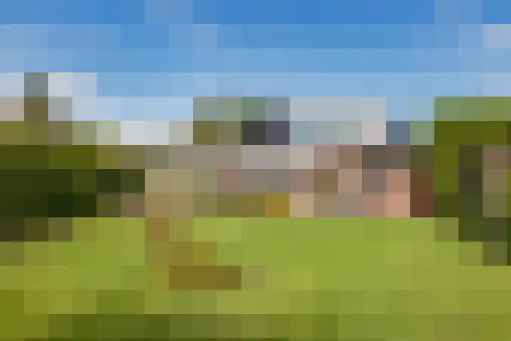 Oosterblokker 131 Oosterblokker thumbnail 45