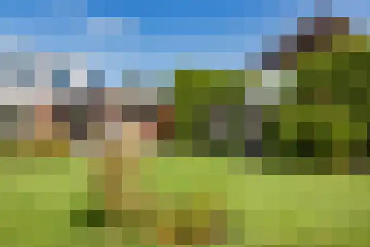 Oosterblokker 131 Oosterblokker thumbnail 46
