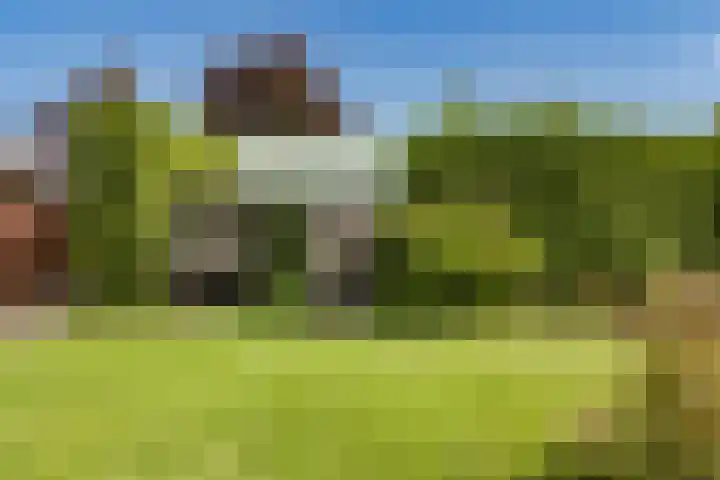Oosterblokker 131 Oosterblokker thumbnail 47