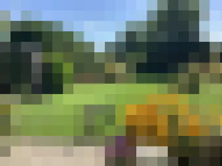 Oosterblokker 131 Oosterblokker thumbnail 5