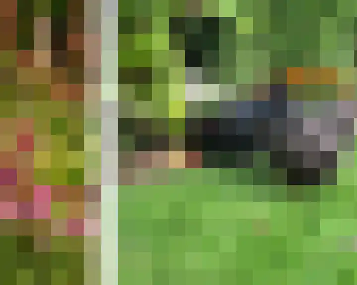 Oosterblokker 131 Oosterblokker thumbnail 50