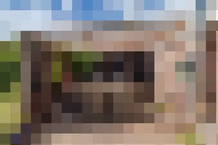 Oosterblokker 131 Oosterblokker thumbnail 54