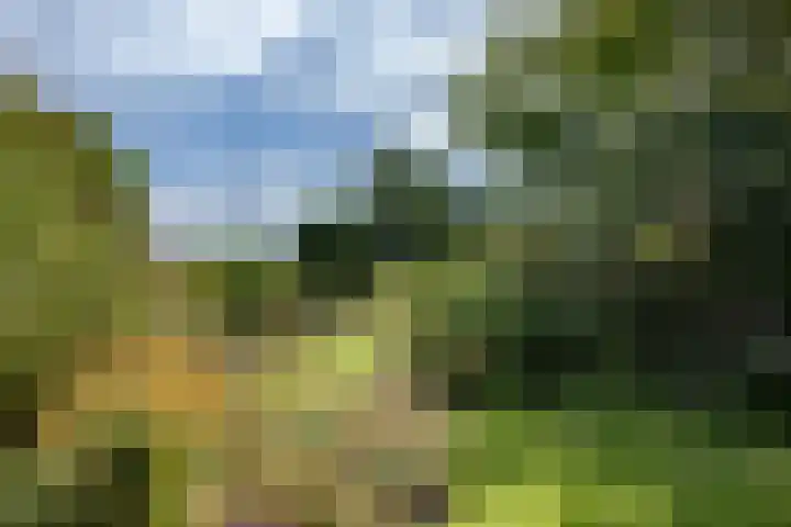 Oosterblokker 131 Oosterblokker thumbnail 55