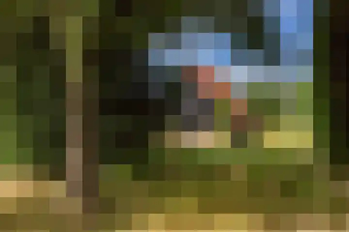 Oosterblokker 131 Oosterblokker thumbnail 56